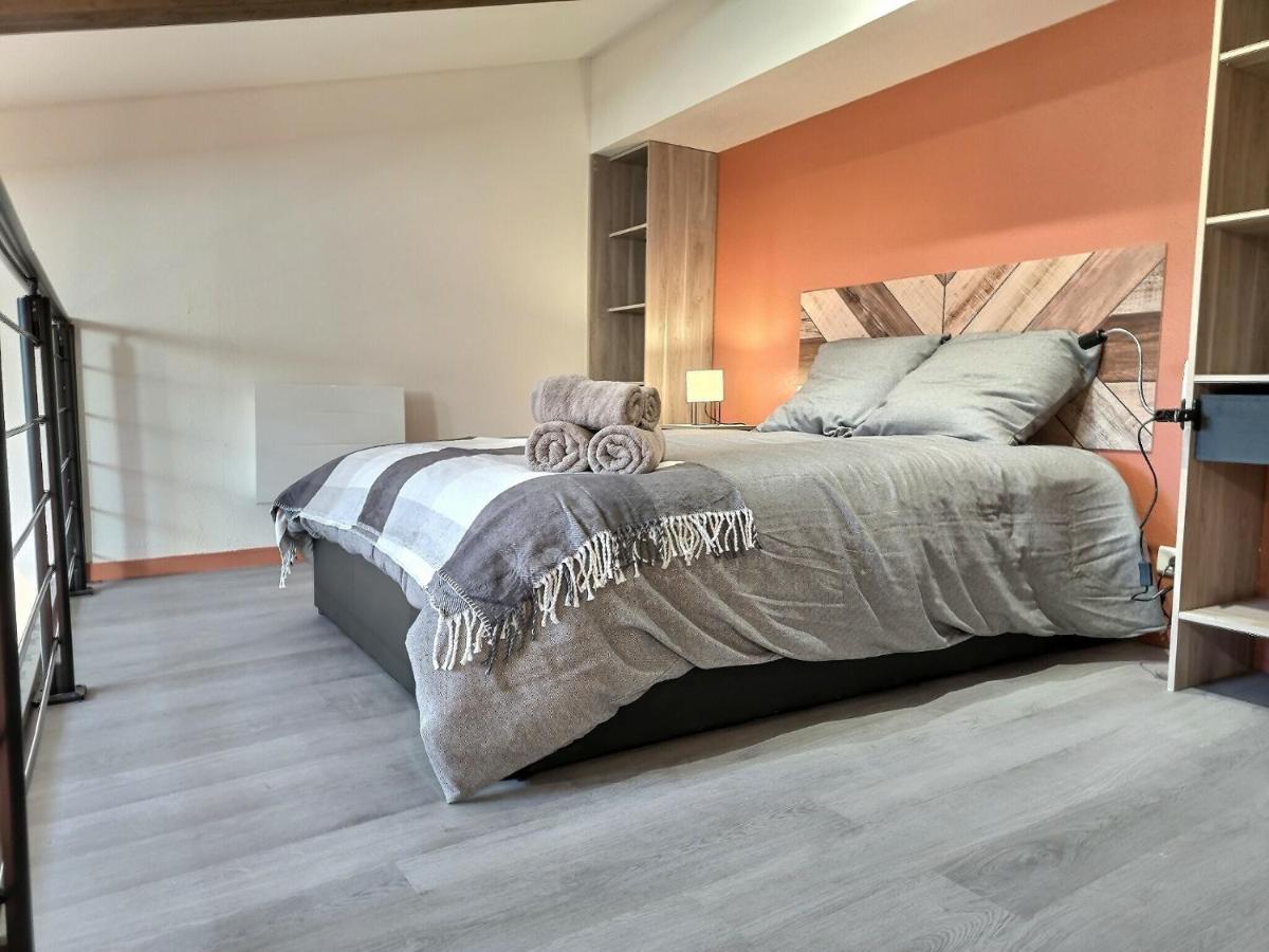 Le Coquelicot - Hyper-Centre - Wifi - Calme Apartment Albi Exterior photo